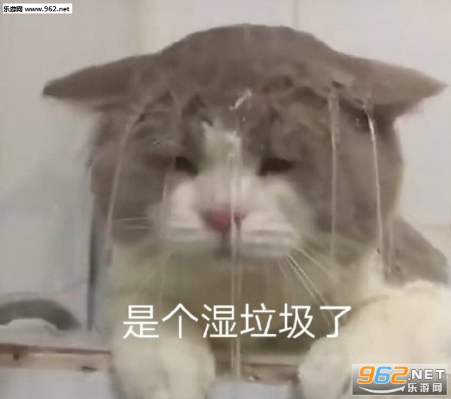 �˼Ҿ��ǲ��о��ǰ��޹������