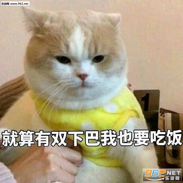 �˼Ҿ��ǲ��о��ǰ��޹������