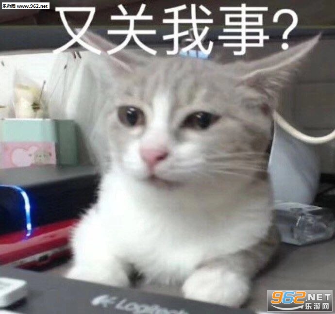 又关我事表情包 又关我事表情包