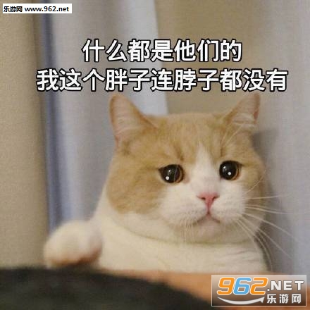 ��Ҳ��ѧ��ѧ���ֻ����Զ�����������������