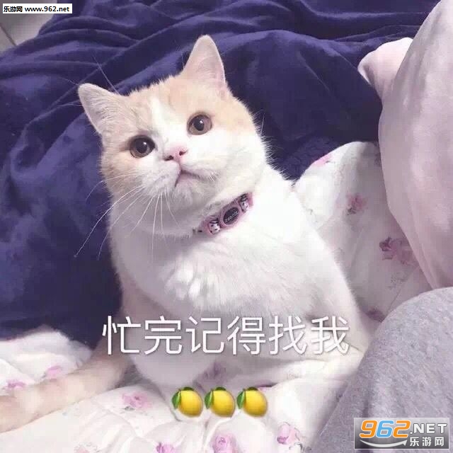 æ��ǵ����ҵı����
