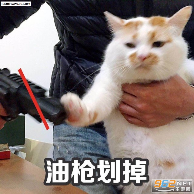 æ��ǵ����ҵı����
