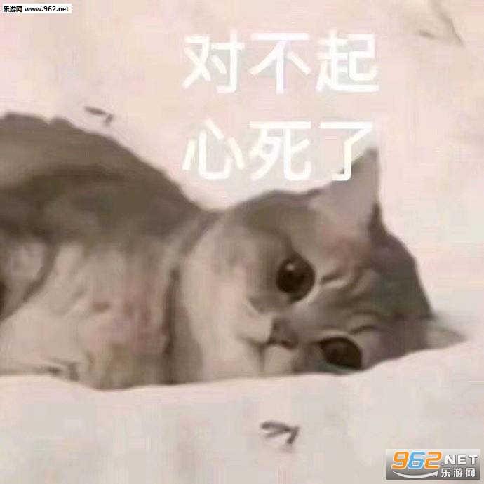 我上去就是一瓢表情包 我上去就是一瓢表情包