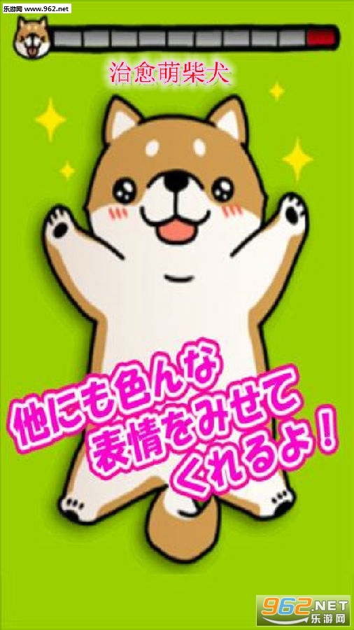 治愈萌柴犬安卓版 治愈萌柴犬安卓版