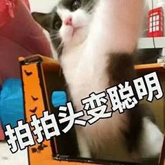 �������Լ���ӭ���Լ������