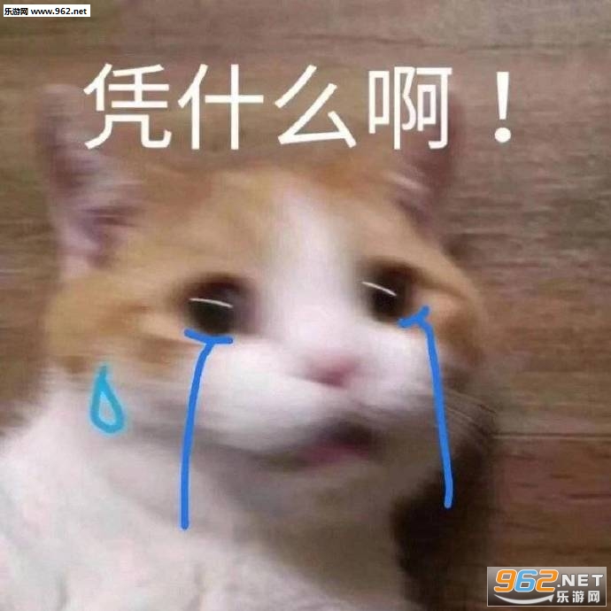�������Լ���ӭ���Լ������