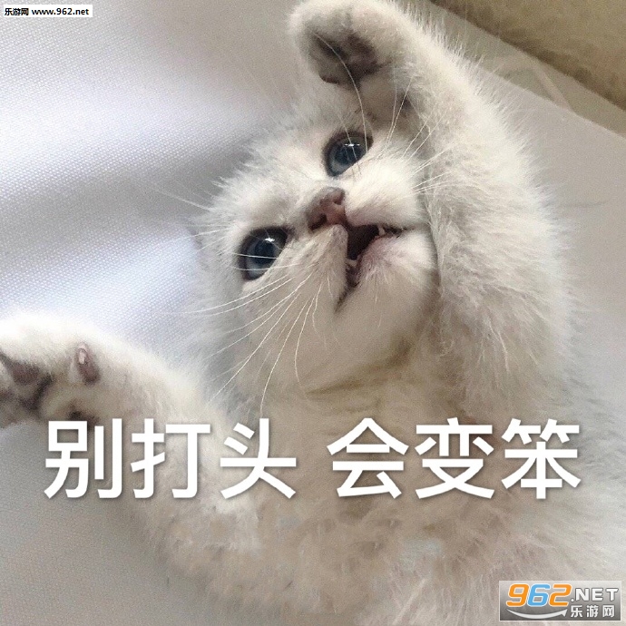 �������Լ���ӭ���Լ������