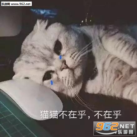 �������Լ���ӭ���Լ������