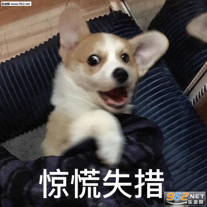 Ц�����Ӳ���ԧ����򷭷���������