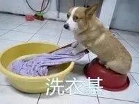 Ц�����Ӳ���ԧ����򷭷���������