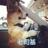 Ц�����Ӳ���ԧ����򷭷���������