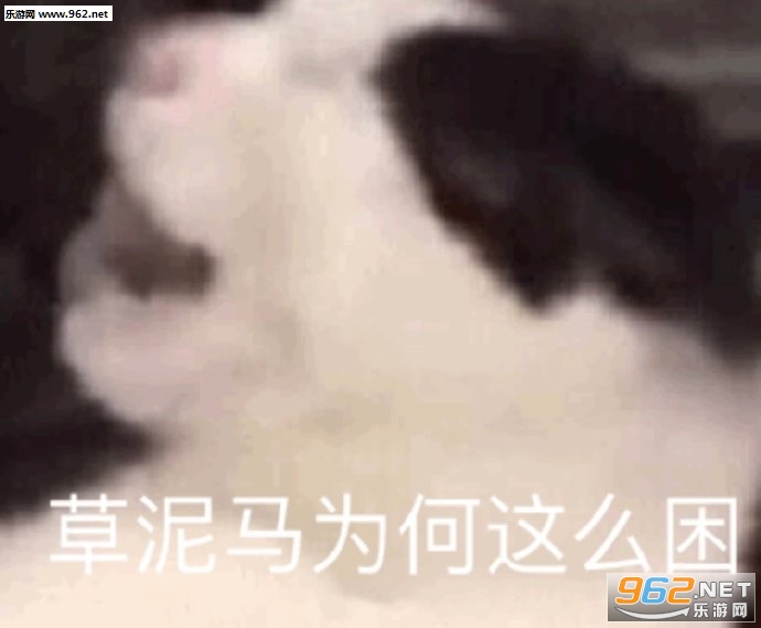 ������˼��˯һ�������