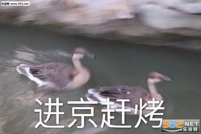 �����Ͽ�ͼƬ�����