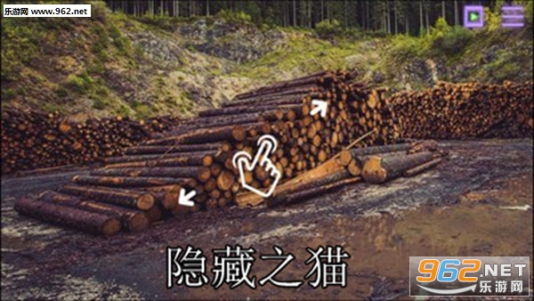 ����֮è�ٷ���
