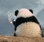 û��60�ȵľ�˵�����ҵĹ���ͼƬ