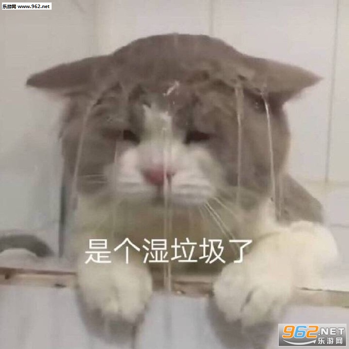 我是个宝宝图片动态表情包 我是个宝宝图片动态表情包