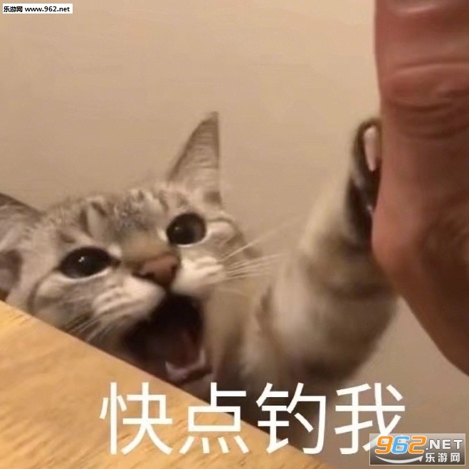我是个宝宝图片动态表情包 我是个宝宝图片动态表情包