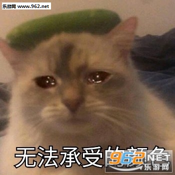 准备迎接夸奖表情包 准备迎接夸奖表情包