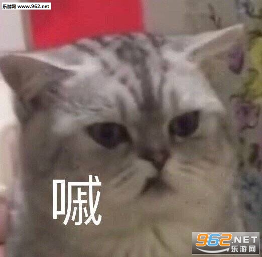 准备迎接夸奖表情包 准备迎接夸奖表情包