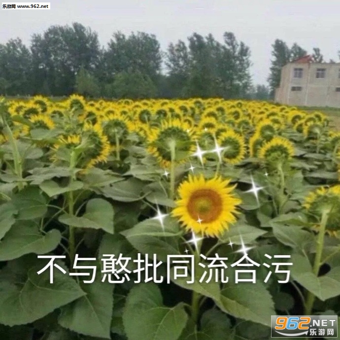 ���ߵ����Ԫһ����������