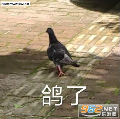 ����ʲô����С�ɰ������