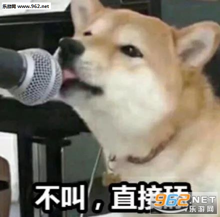 ����ʲô����С�ɰ������