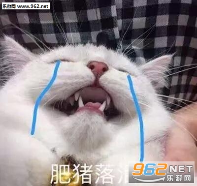 你看他们多般配李光洙追星表情包