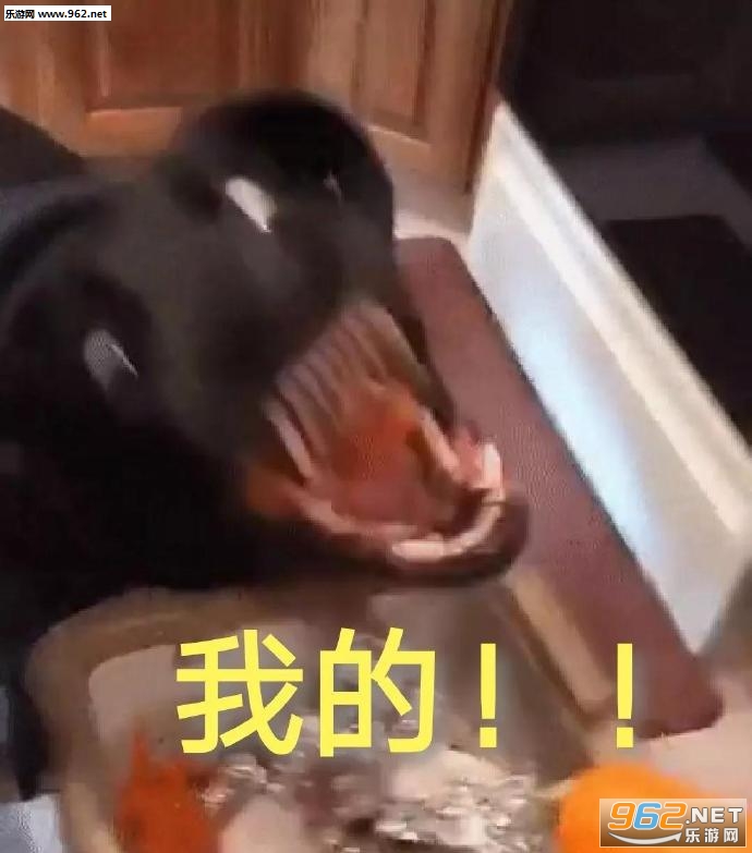 你看他们多般配李光洙追星表情包