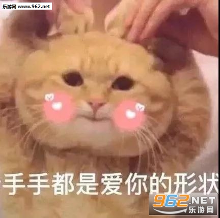 你看他们多般配李光洙追星表情包