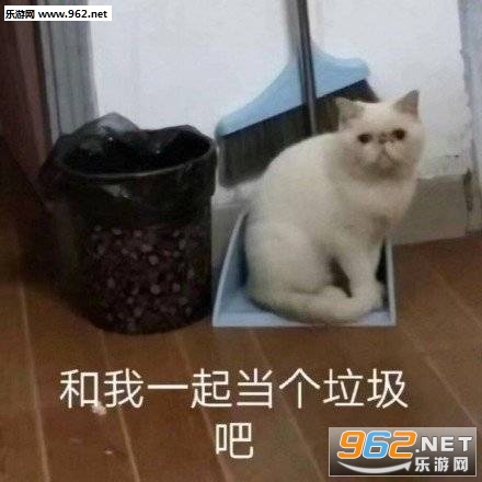 无论生活多么狗日我都要保持微笑印尼小胖表情包