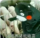 �����㰡�����