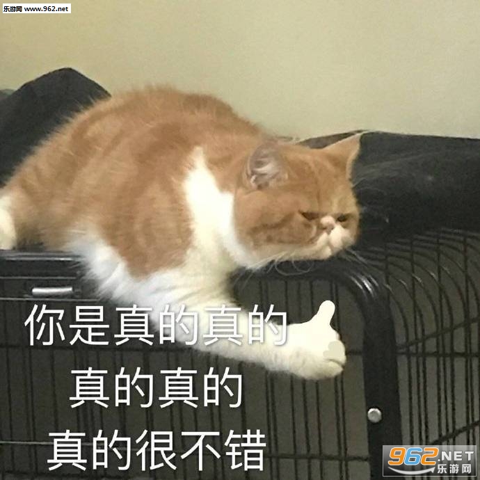 我混世大魔王申请做你的小熊软糖图片
