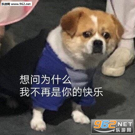 我混世大魔王申请做你的小熊软糖图片