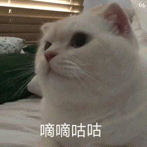 ���ֹ��������