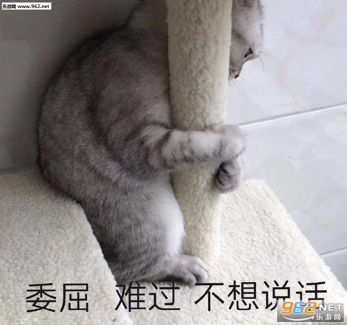 �ҵ���Ҫ�ɷֱ����ͼƬ