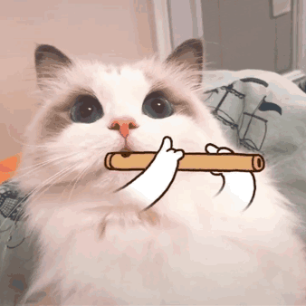 猫咪吹笛子app 猫咪吹笛子app