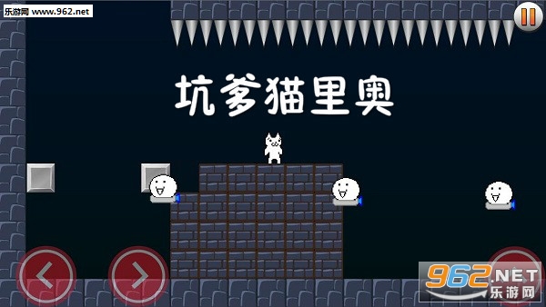 �ӵ�è���������