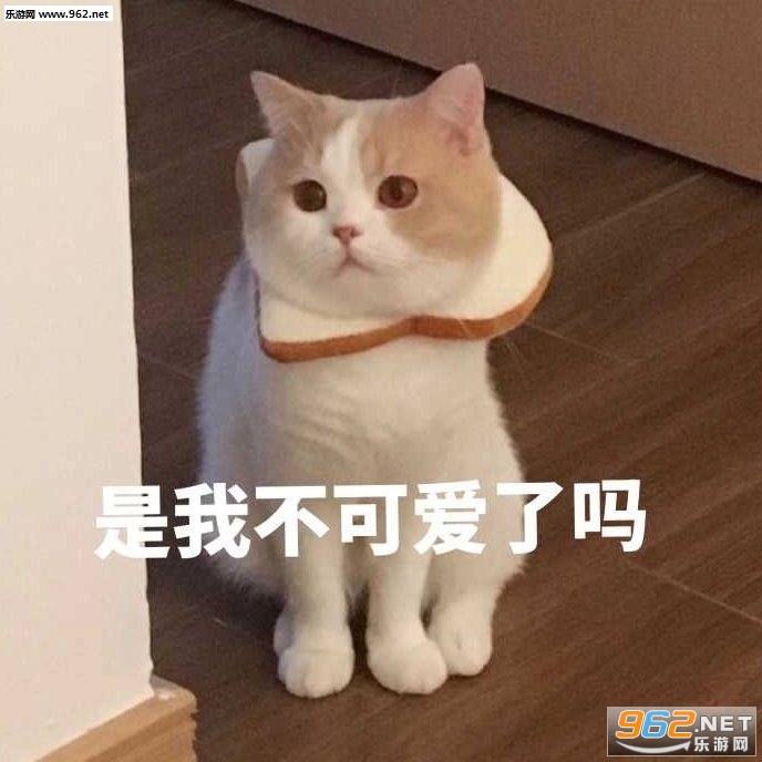 ����������Ҫ����������