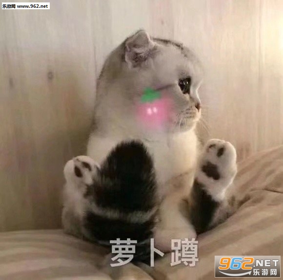 ����û��������˵�������