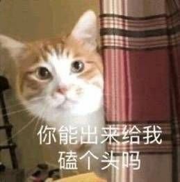 ����û��������˵�������