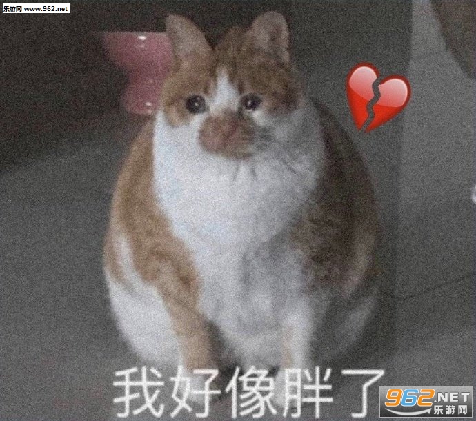 �������ֲ��Ҷ�������