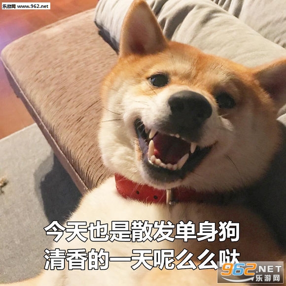 ��Ϧ�������������Ȯ