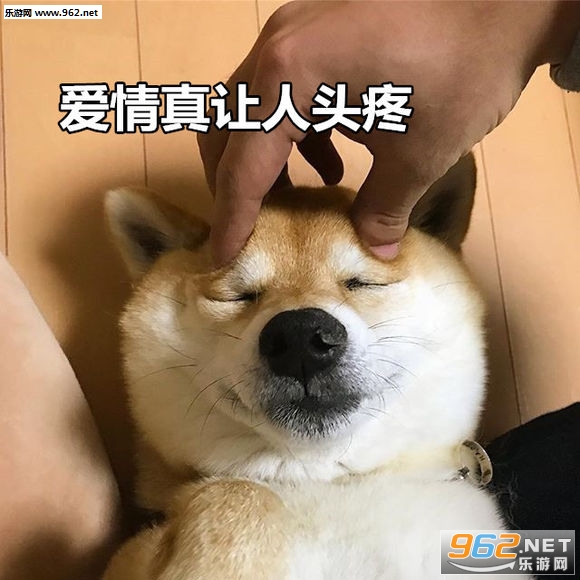 ��Ϧ�������������Ȯ