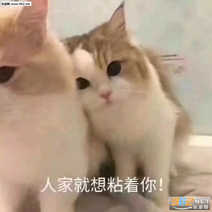 �˼Ҿ���ճ����ͼƬ