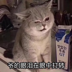����΢Ц��è�����