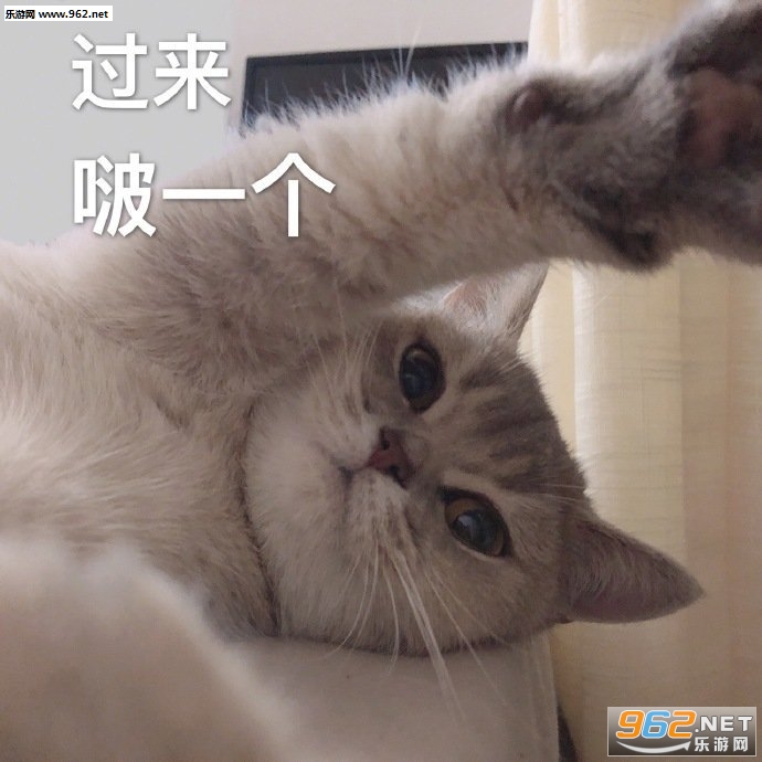 kswl是什么意思表情包 kswl是什么意思表情包