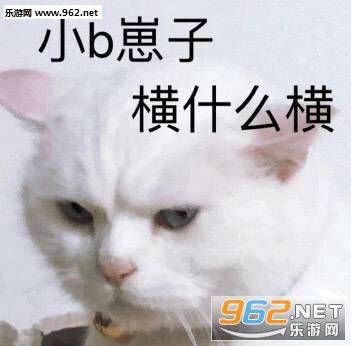 �����ڹ�������ɱ����
