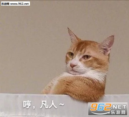 �������ı������ͼ1