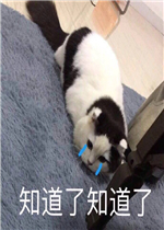 ֪����֪���˱����