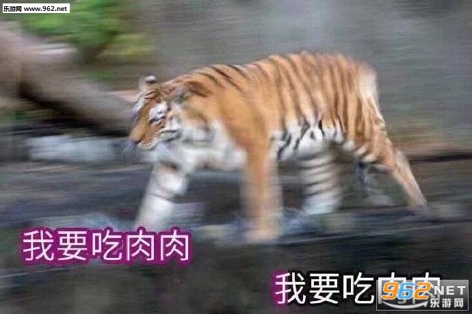 �ƻ�û�ѱ����ͼƬ��ͼ5